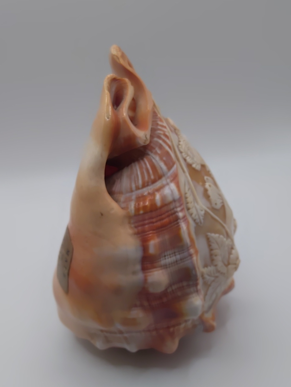 Italy Hand Carved Cameo Lamp Shade.. Napoli .. - Picture 4 of 10